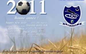 BONNE ANNEE 2011 !!!